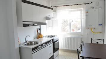 Basic Apartment, 1 Bedroom | Private kitchen | Full-size fridge, oven, stovetop, electric kettle