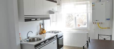 Basic Apartment, 1 Bedroom | Private kitchen | Full-size fridge, oven, stovetop, electric kettle