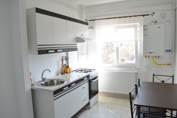 Basic Apartment, 1 Bedroom | Private kitchen | Full-sized fridge, oven, stovetop, electric kettle