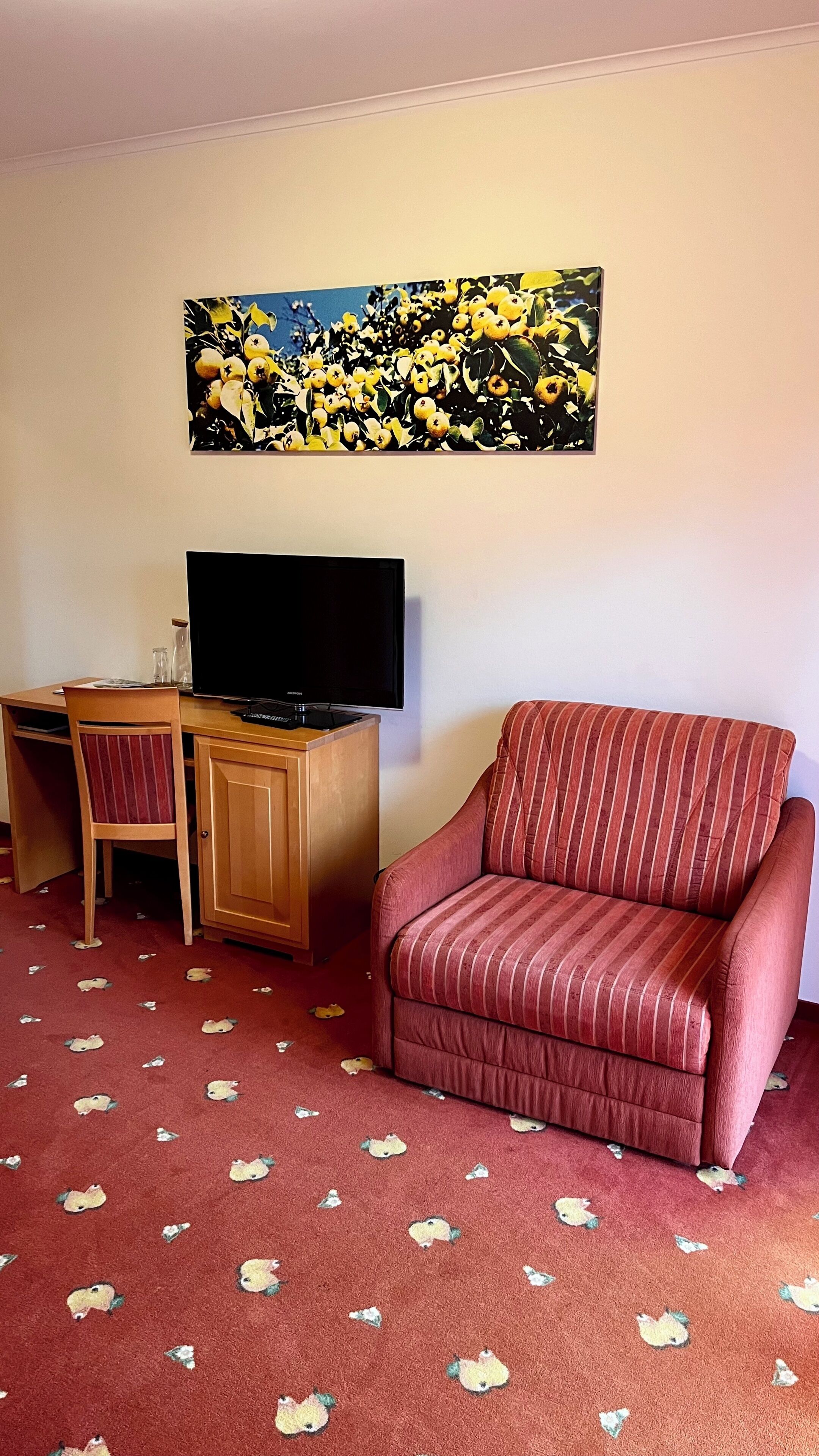 A room with a TV, a wooden desk, a striped sofa, and a carpet with animal prints.