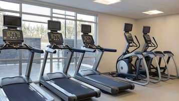 Una hilera de cintas de correr con pantallas digitales, ubicadas en un espacio con amplias ventanas y vistas a árboles.