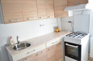 Private kitchen - Alexys Residence 9 (Iasi)
