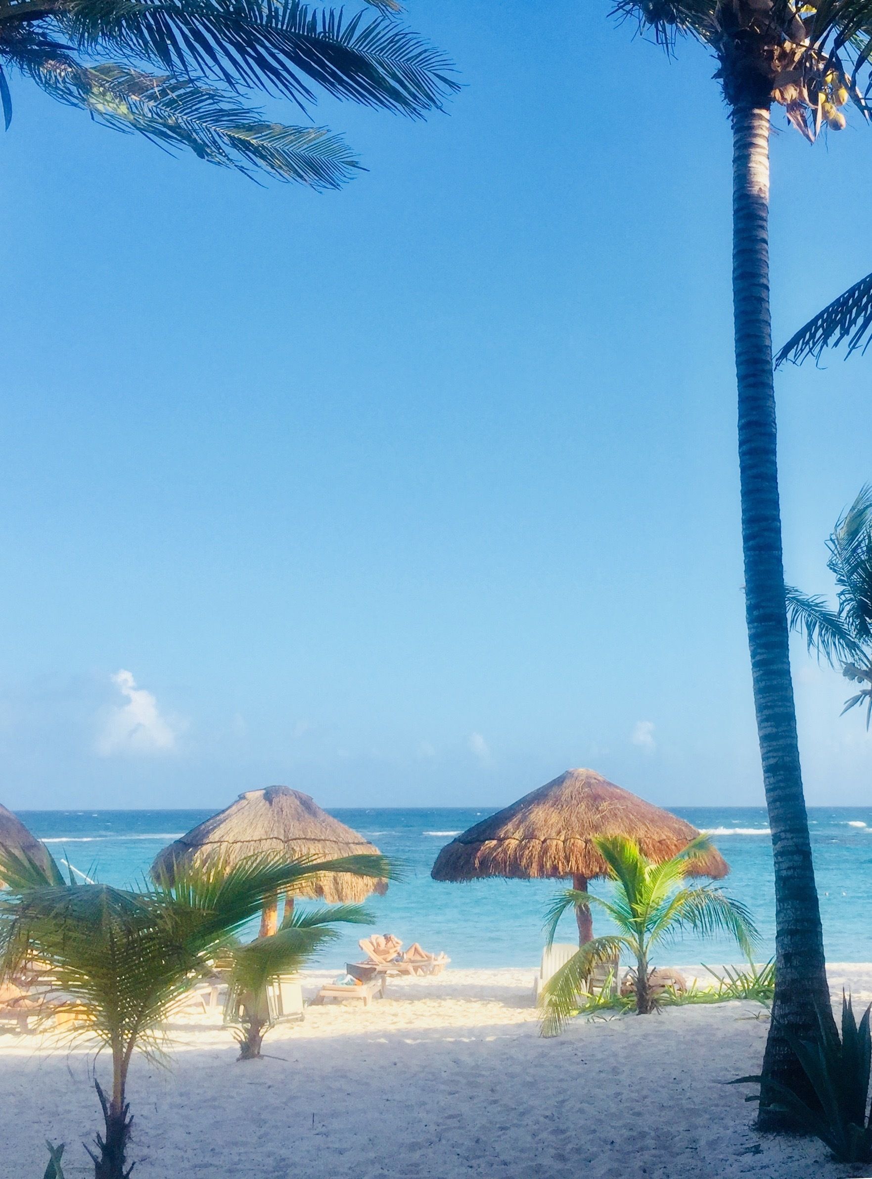 Vista desde la propiedad