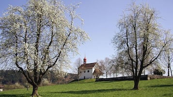 Vue sur la campagne depuis l’hébergement