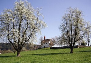 Blick auf die Umgebung