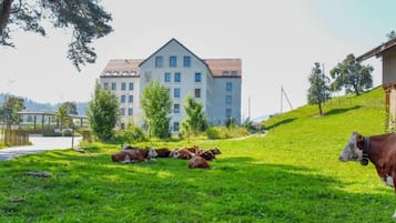 Blick auf den Garten