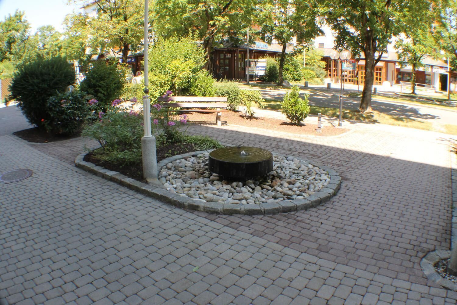 A paved courtyard with a circular water feature, surrounded by small plants and trees.
