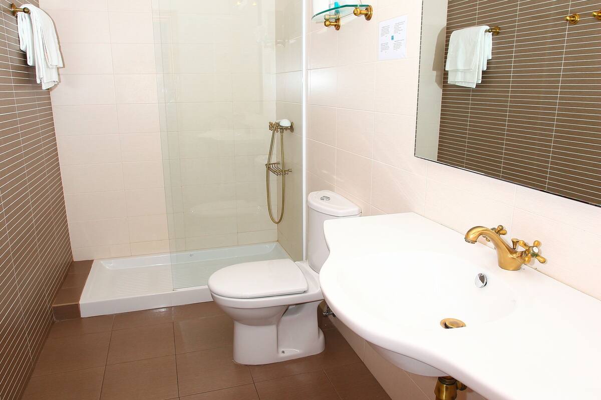 shower, free toiletries, hair dryer, towels