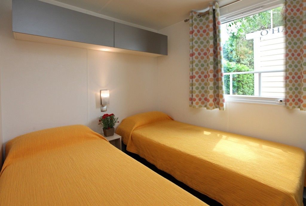 Una habitación con dos camas, una mesita con una planta, una lámpara de pared y una ventana con cortinas.