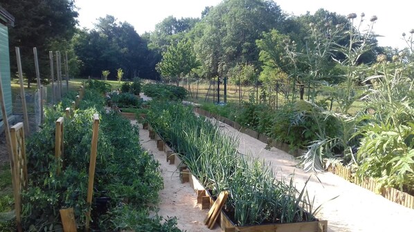 A garden with raised beds and a variety of plants. - La Table de Pierre (Lussas-et-Nontronneau)