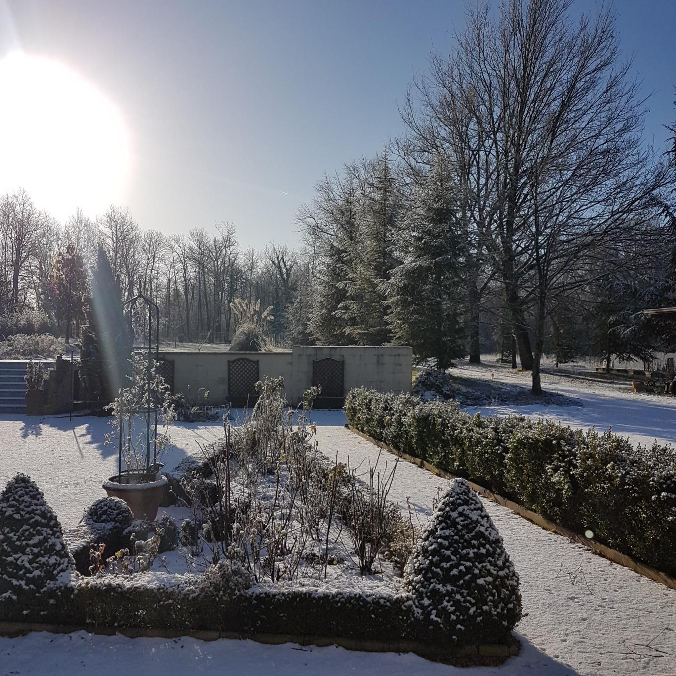 Un jardin enneigé, avec des allées et une variété d’arbres et d’arbustes.