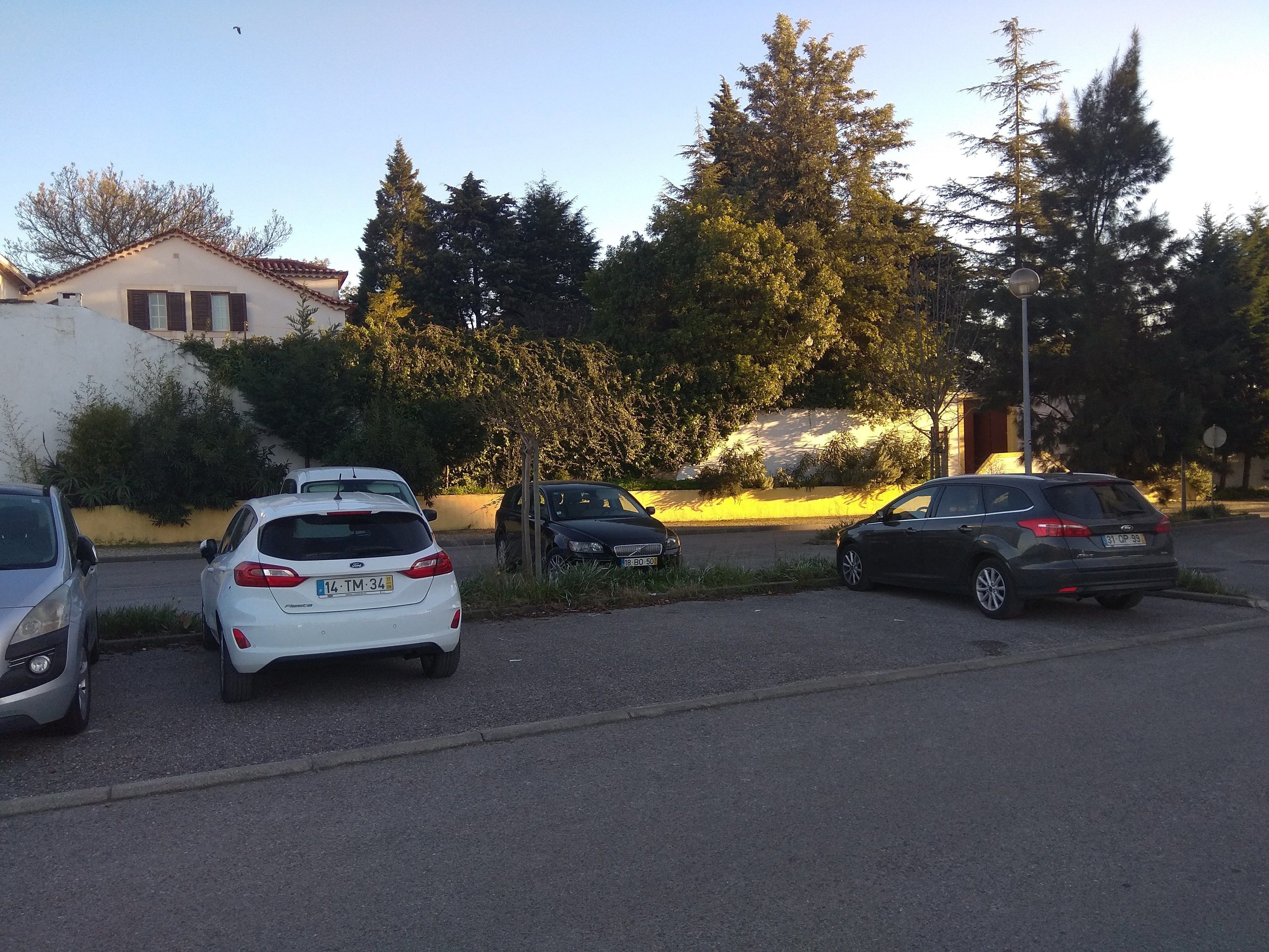A parking lot with several cars, trees, and a building in the background.