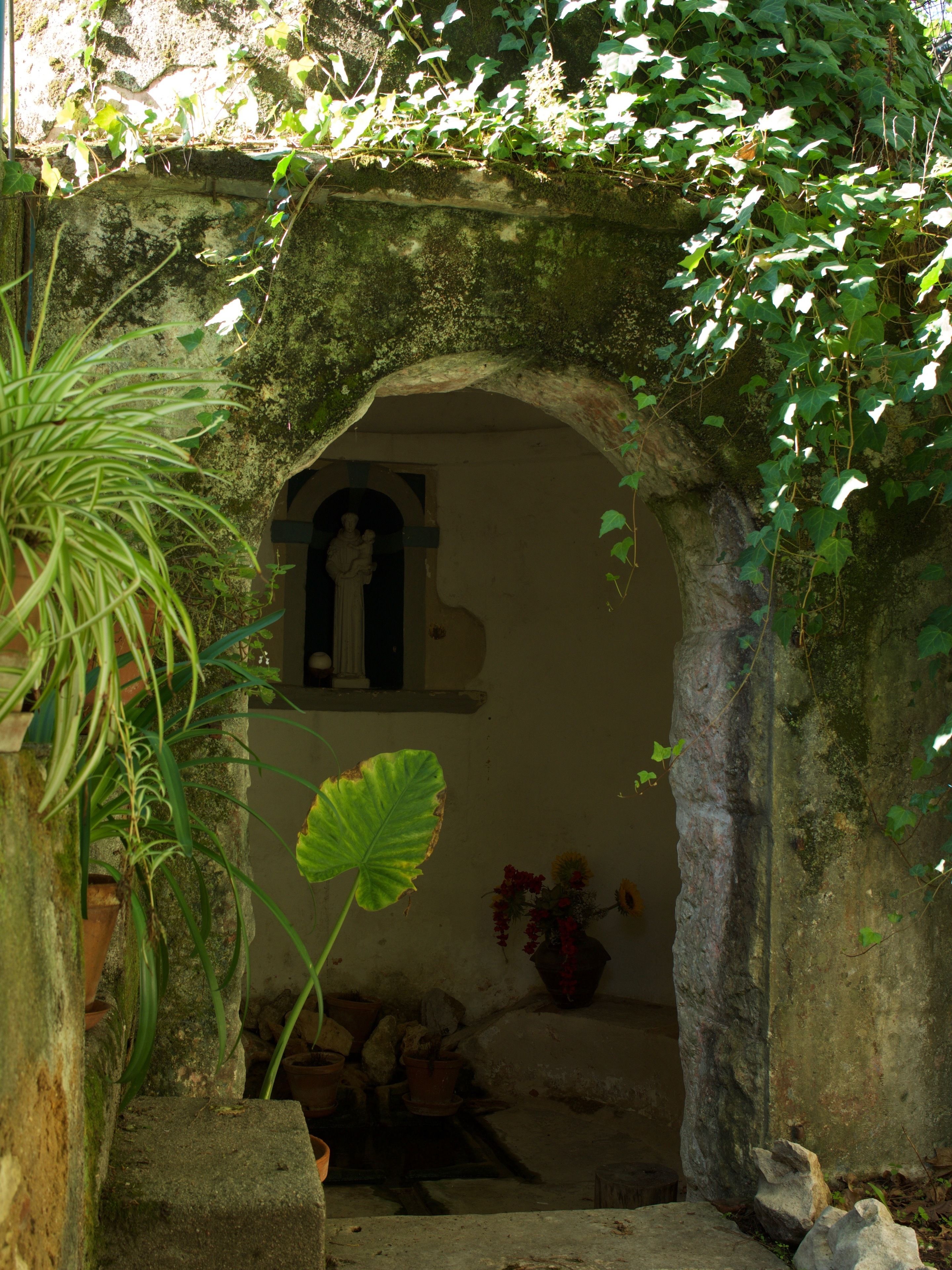 Foto - Casa Dos Arrabidos