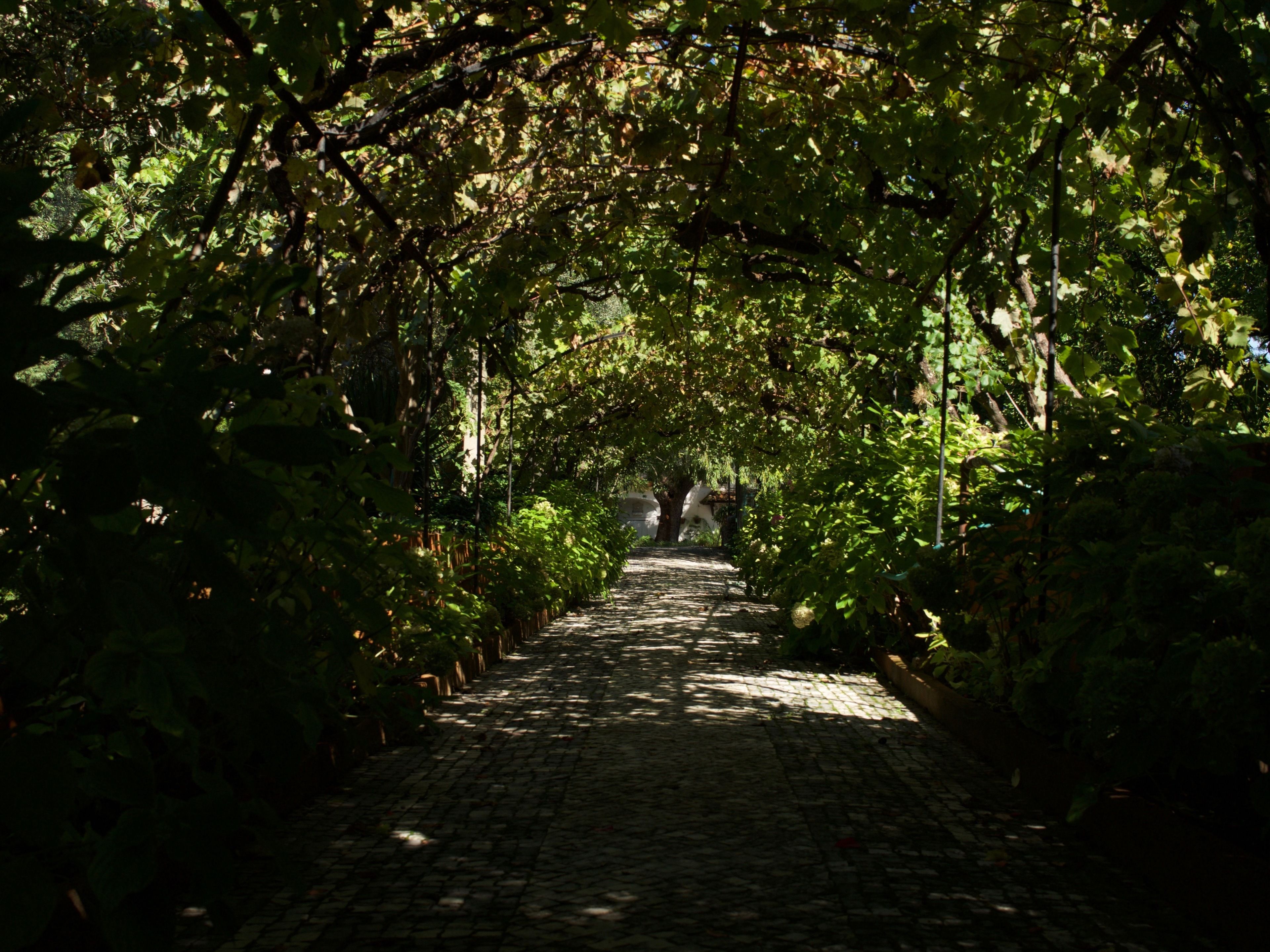 Foto - Casa Dos Arrabidos