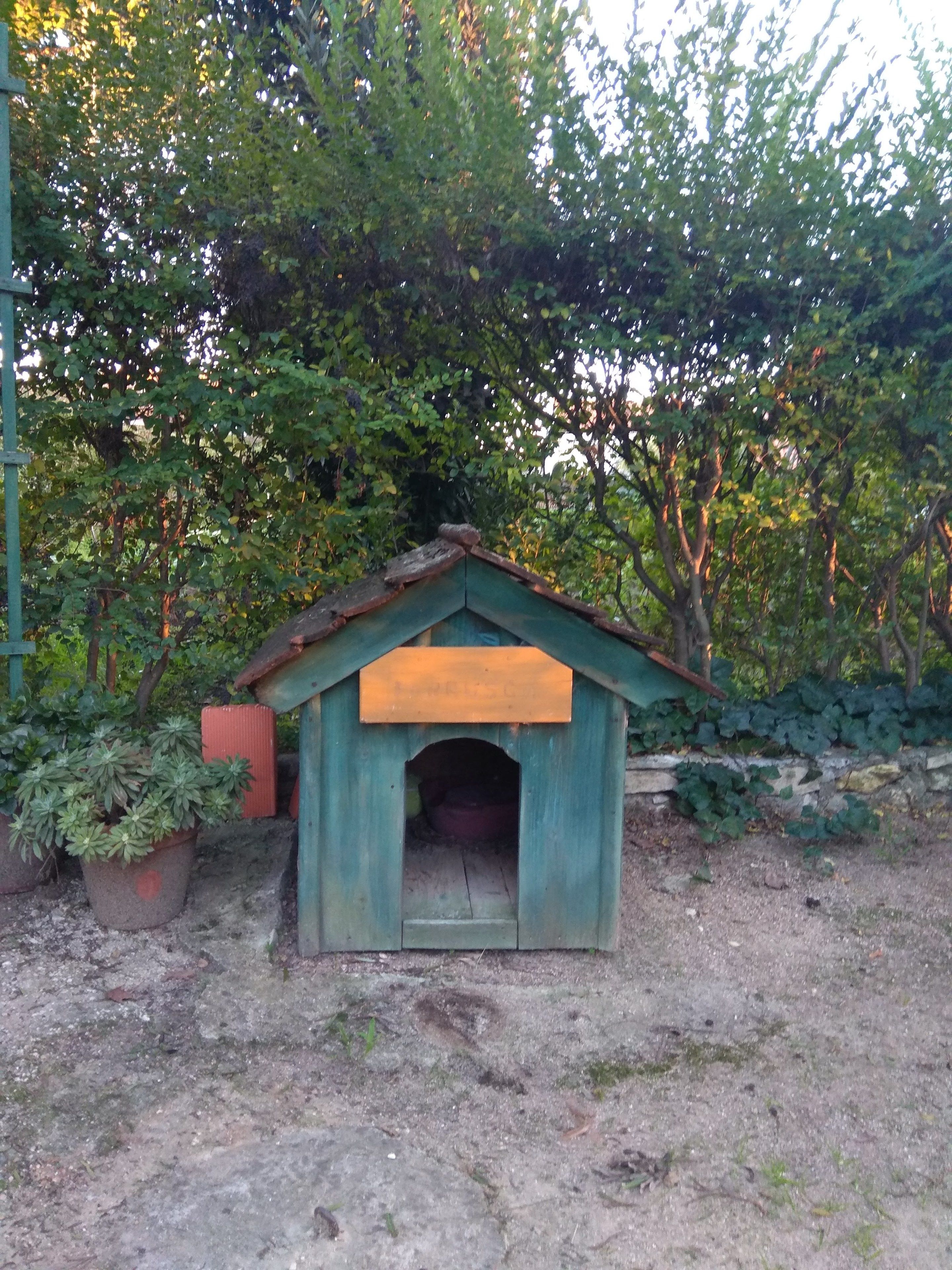 Una caseta para perro pequeña y rústica con techo inclinado y puerta de madera, rodeada de follaje y un muro de piedra.