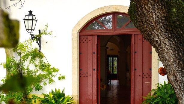 Une porte à arc rouge, avec un pot de fleurs devant, un arbre à droite et un chemin pavé menant à un intérieur sombre.