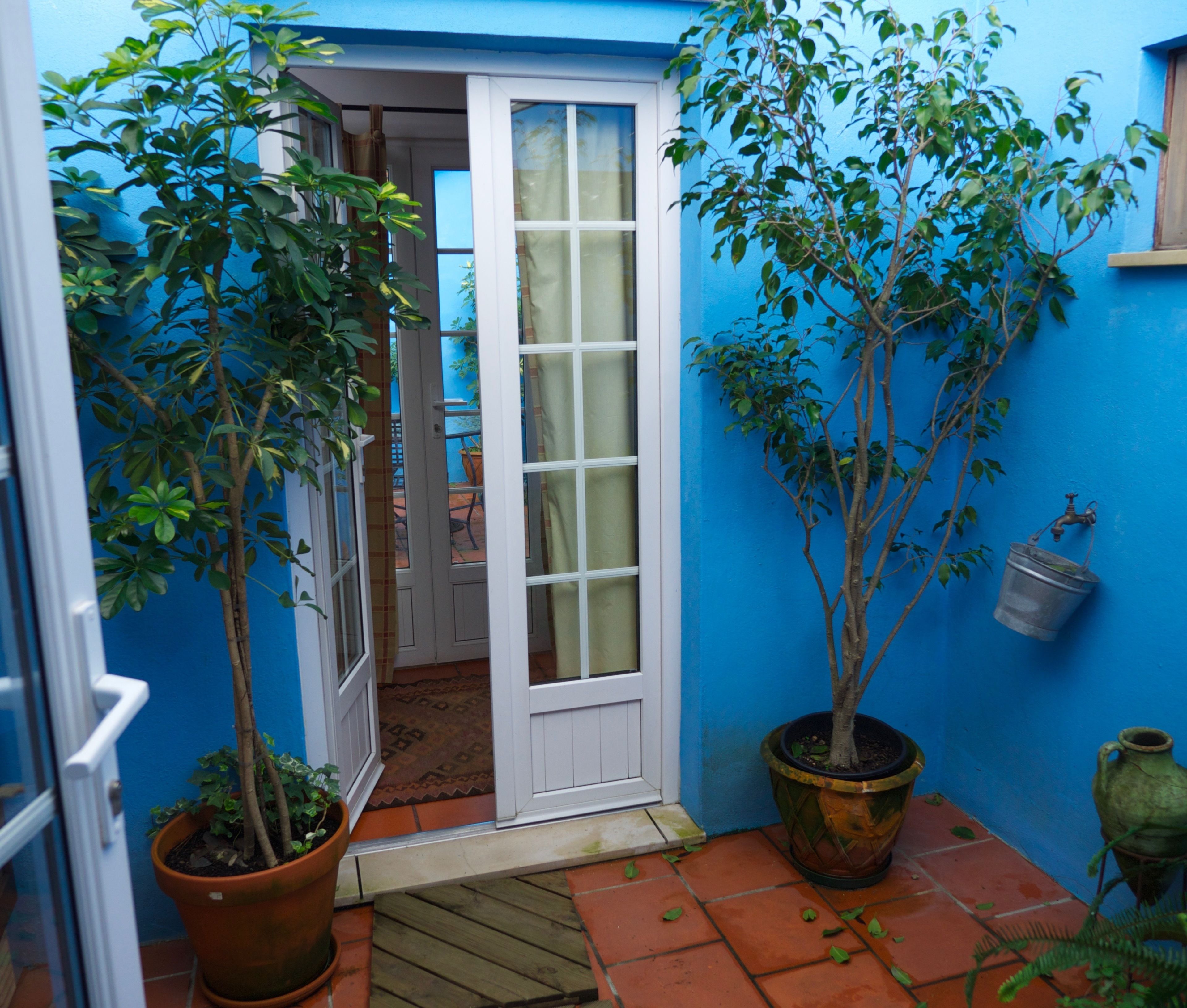 Une pièce aux murs bleus, avec une porte en bois, des plantes en pot et un sol carrelé.