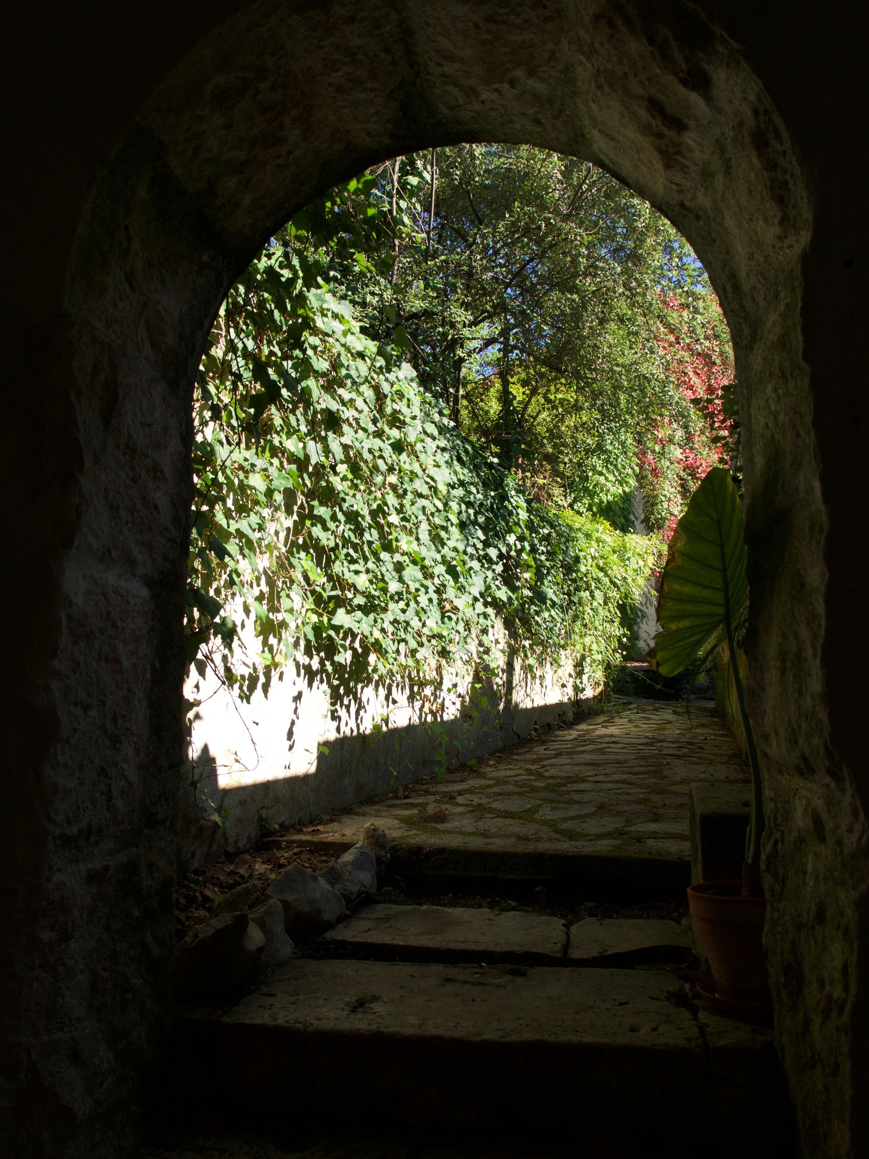Foto - Casa Dos Arrabidos