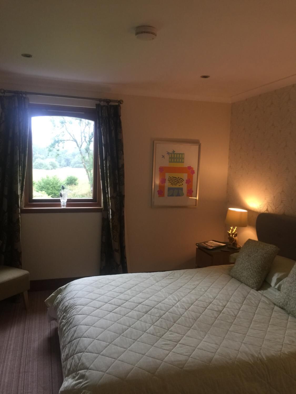 A hotel room with a bed, a nightstand, a lamp, a window with curtains, and a framed picture on the wall.