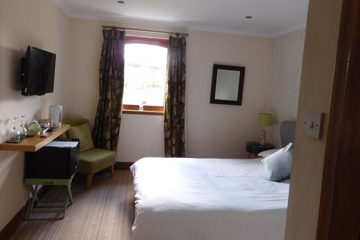 A hotel room with a bed, a desk with a chair, a TV mounted on the wall, a window with curtains, and a bedside table with a lamp.