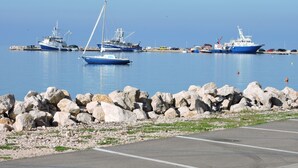 Una marina con varias embarcaciones amarradas, una costa rocosa y cielo despejado.