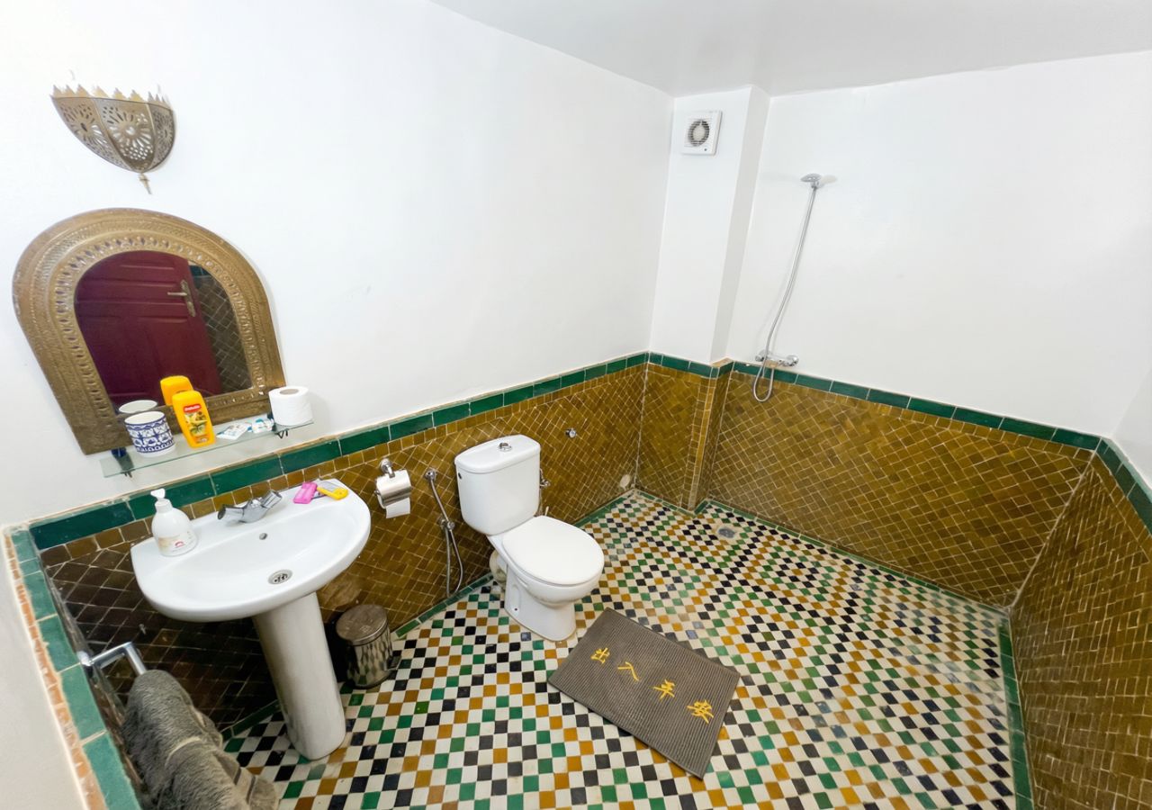 Une salle de bain avec un lavabo, des toilettes et une douche.