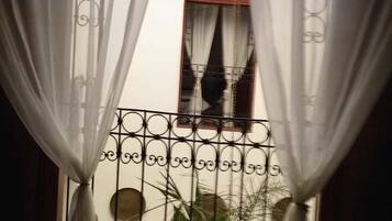 Visão pela janela com cortinas brancas, um portão de metal e uma varanda com plantas.