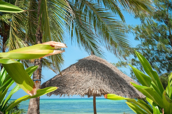 Luxury Villa, 1 Bedroom (Alfajiri) | Beach/ocean view