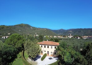 テラス / パティオ