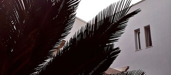 il Chiostro delle Cererie