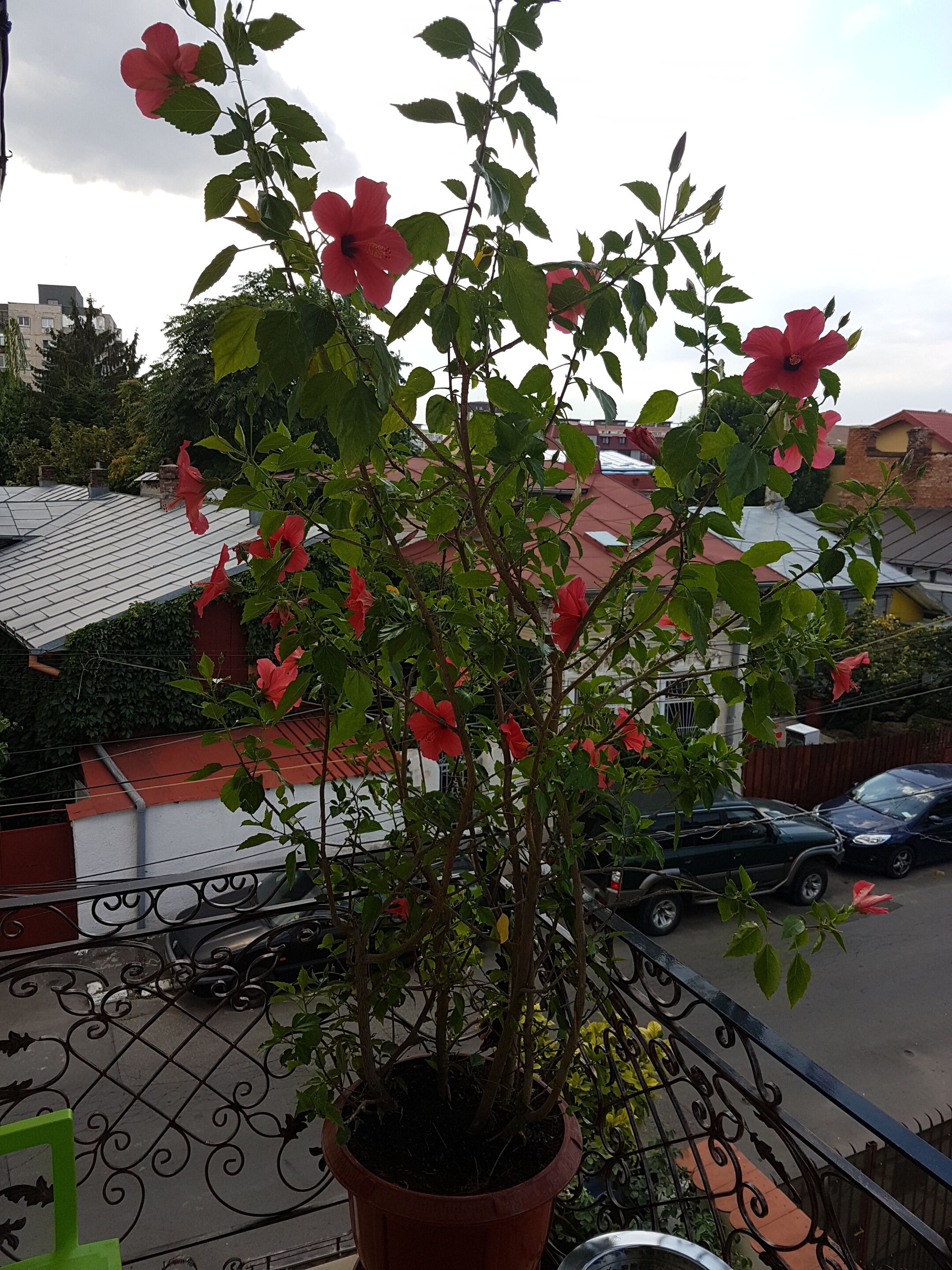 Photo - Bucharest Boutique Accommodation by Hotels