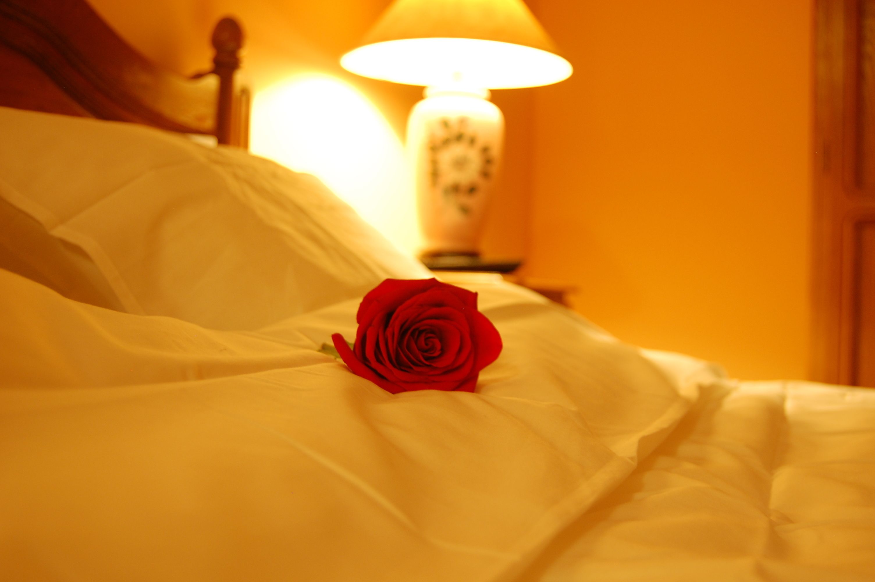 Photo - Bucharest Boutique Accommodation by Hotels