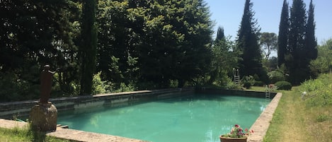 Seasonal outdoor pool, open 9:00 AM to 7:00 PM, pool loungers