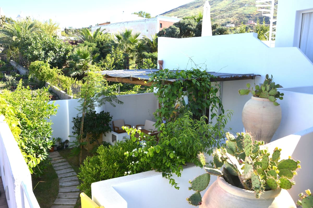 A rooftop garden with potted plants, a wooden bench, and a view of the surrounding buildings.
