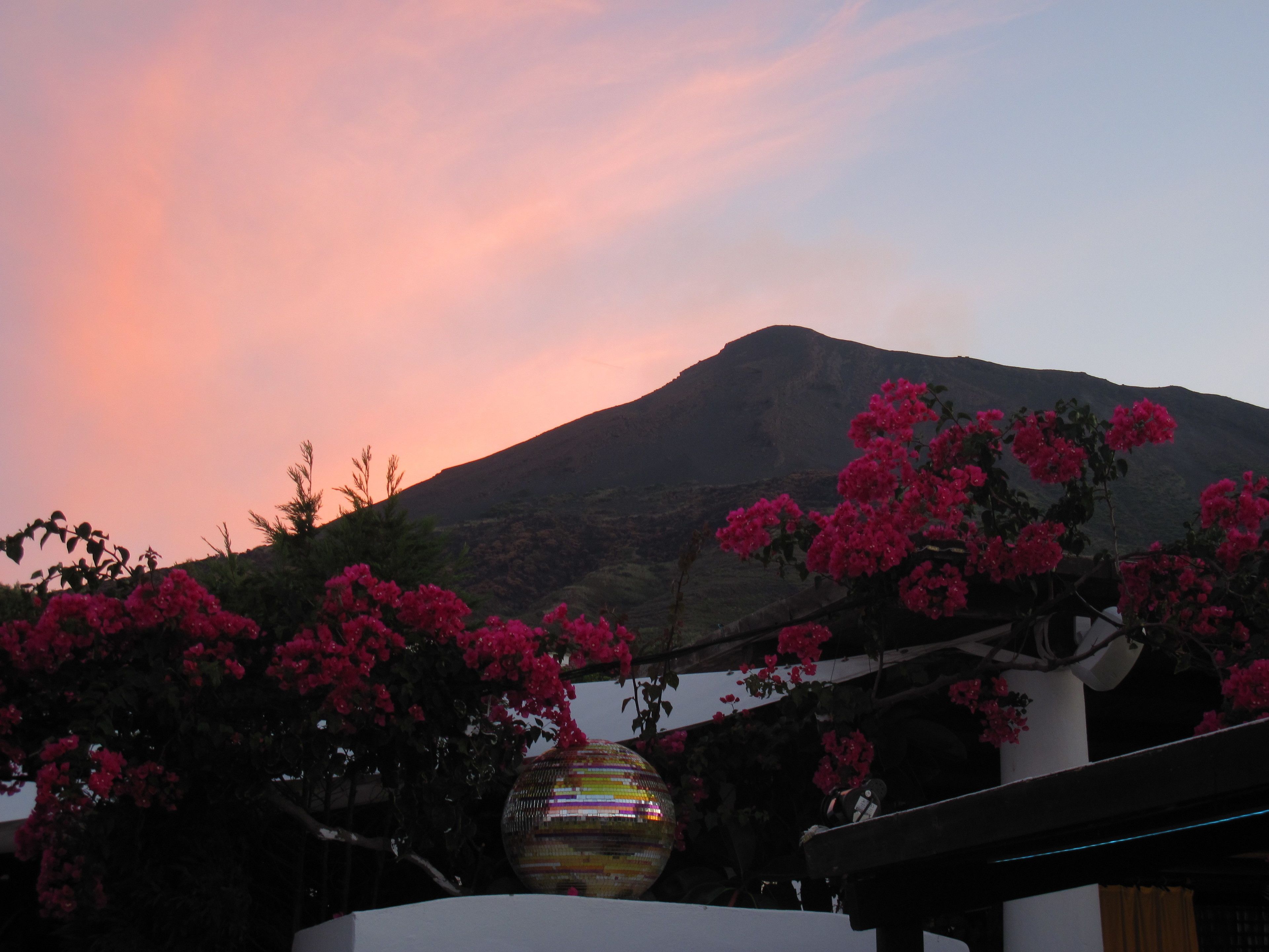 Una montaña al atardecer con flores rosadas en primer plano.