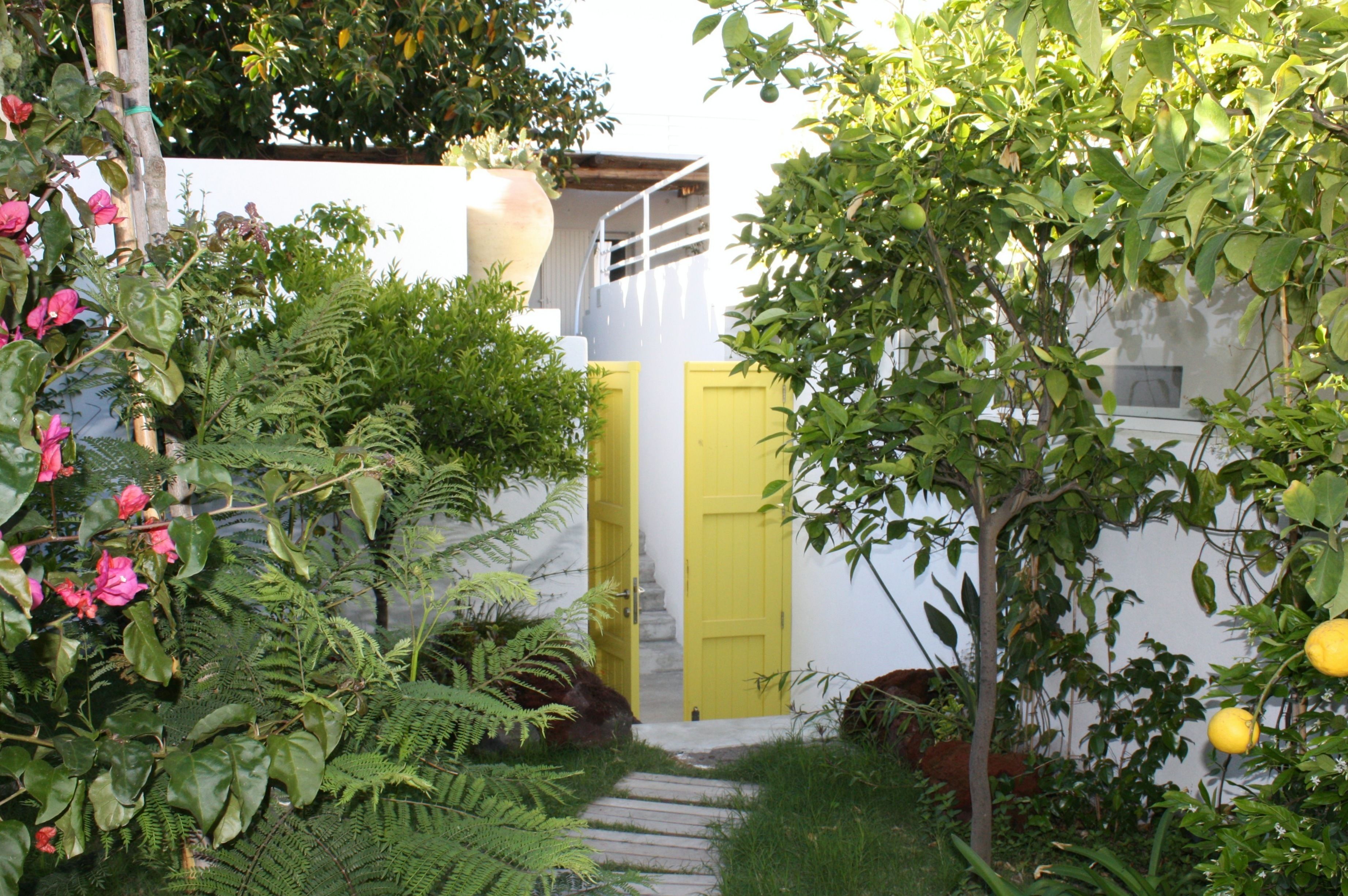 Un estrecho sendero de jardín que lleva a una puerta amarilla, rodeado de exuberante follaje y plantas en flor.