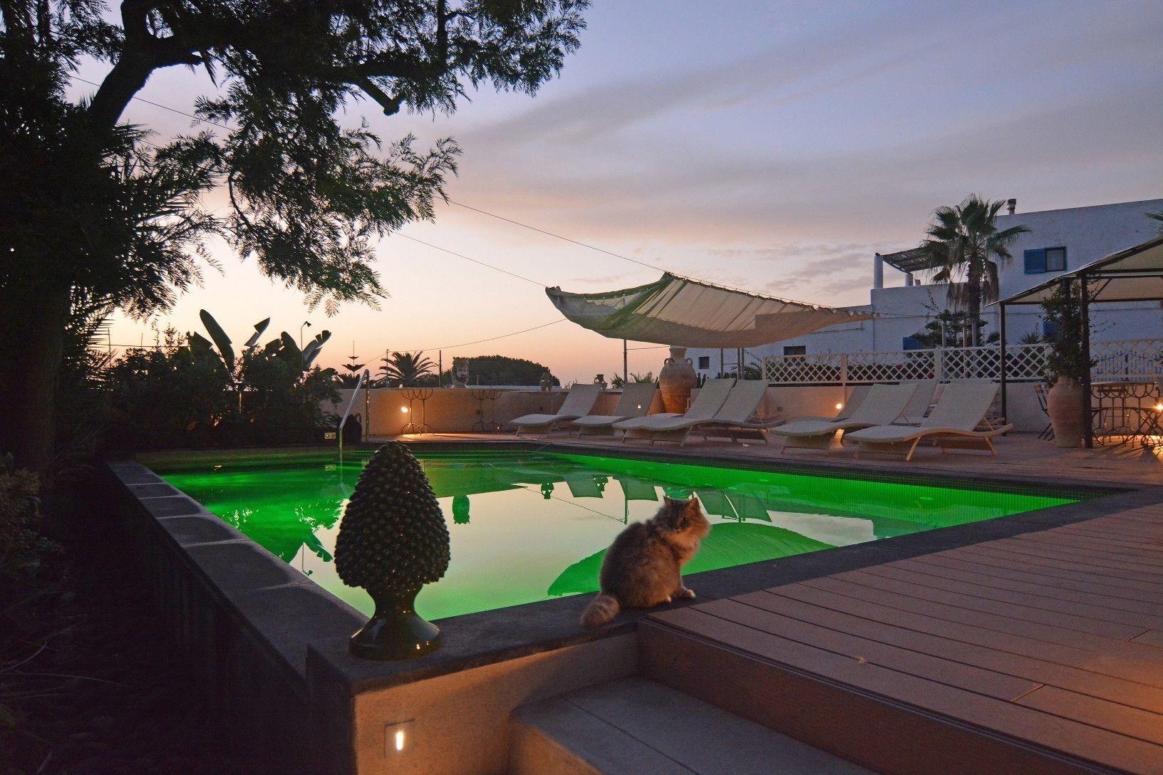 Un espace piscine agrémenté de chaises longues et d’un arbre décoratif, entouré d’une terrasse en bois et, au fond, d’un bâtiment blanc.