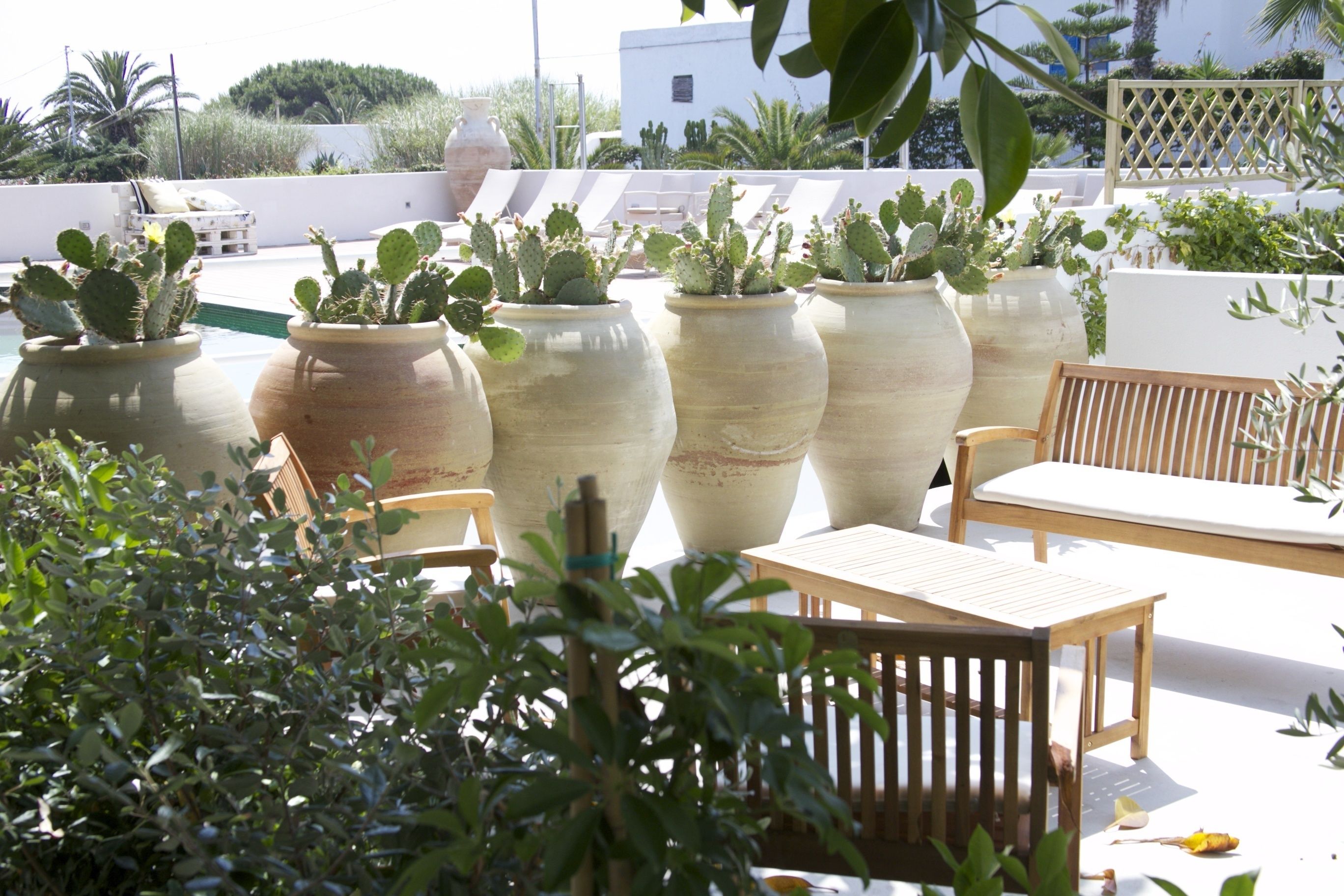 A rooftop terrace with large potted cacti, wooden furniture, and a view of the surrounding landscape.