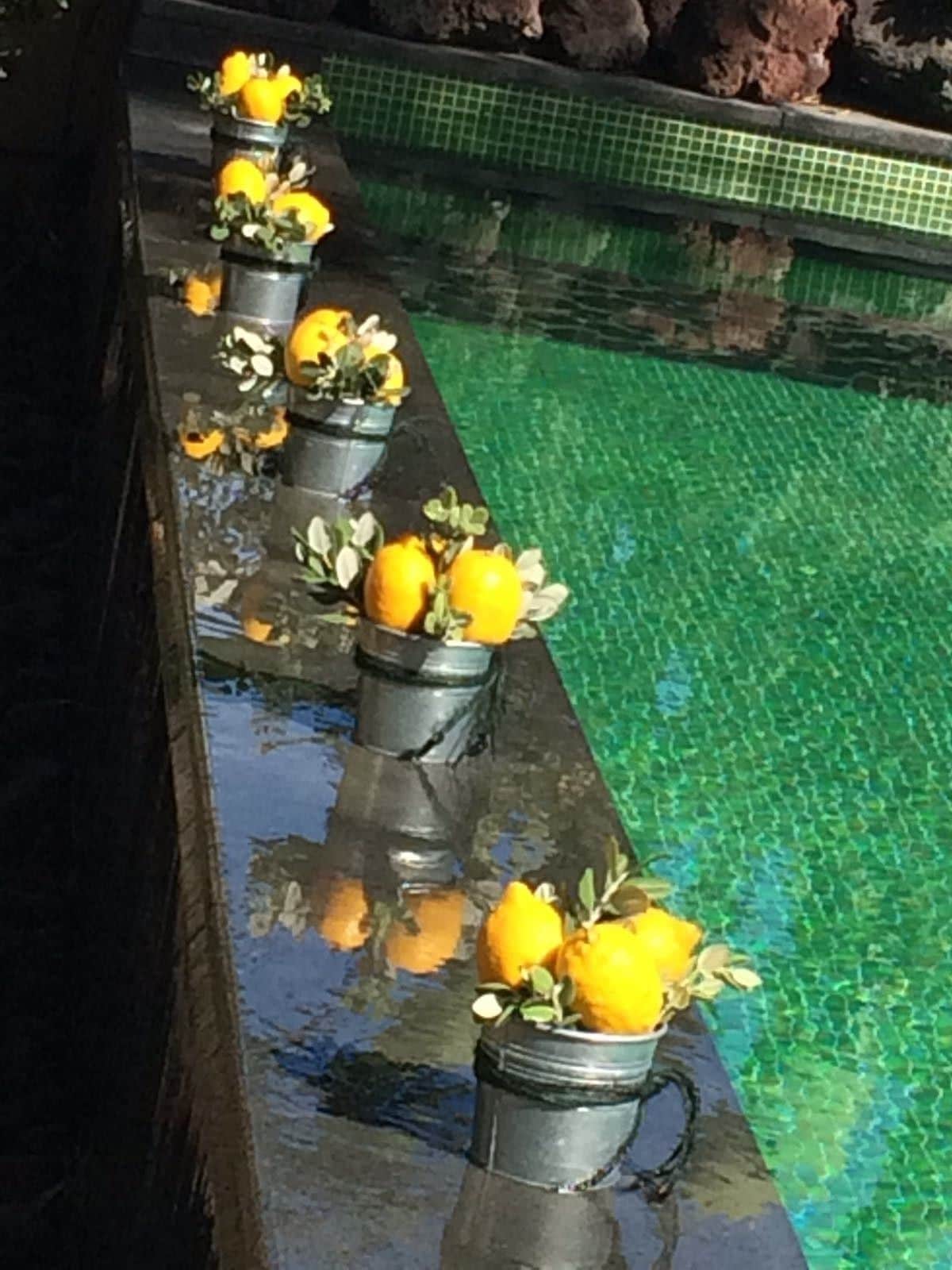 Una piscina con una serie de cubos metálicos alineados a lo largo del borde, cada uno con una flor amarilla.