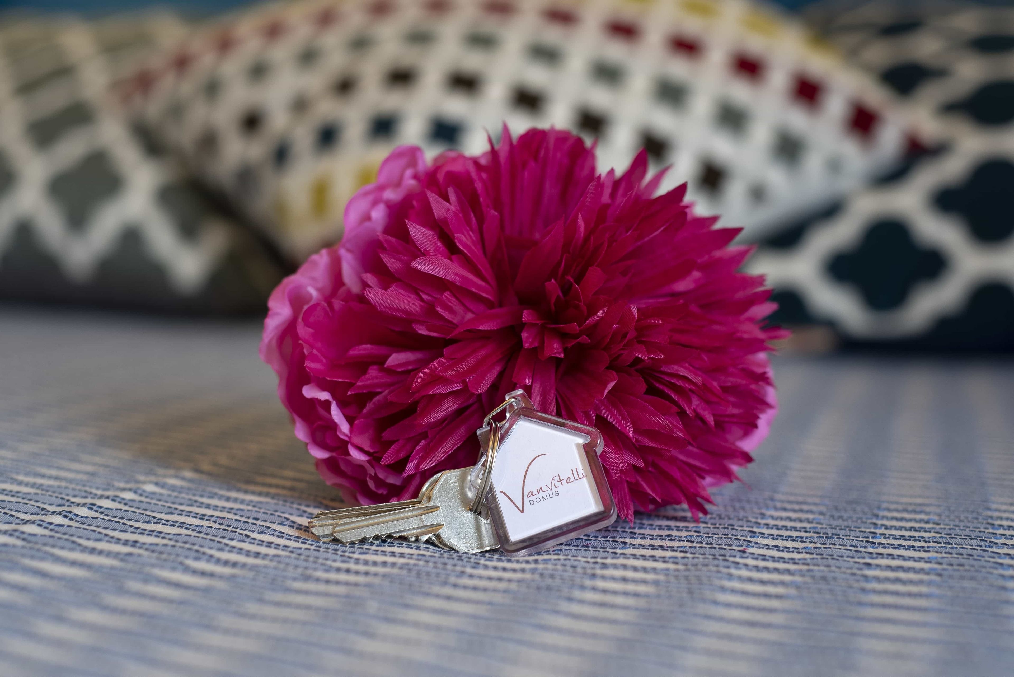 Foto - Vanvitelli Domus