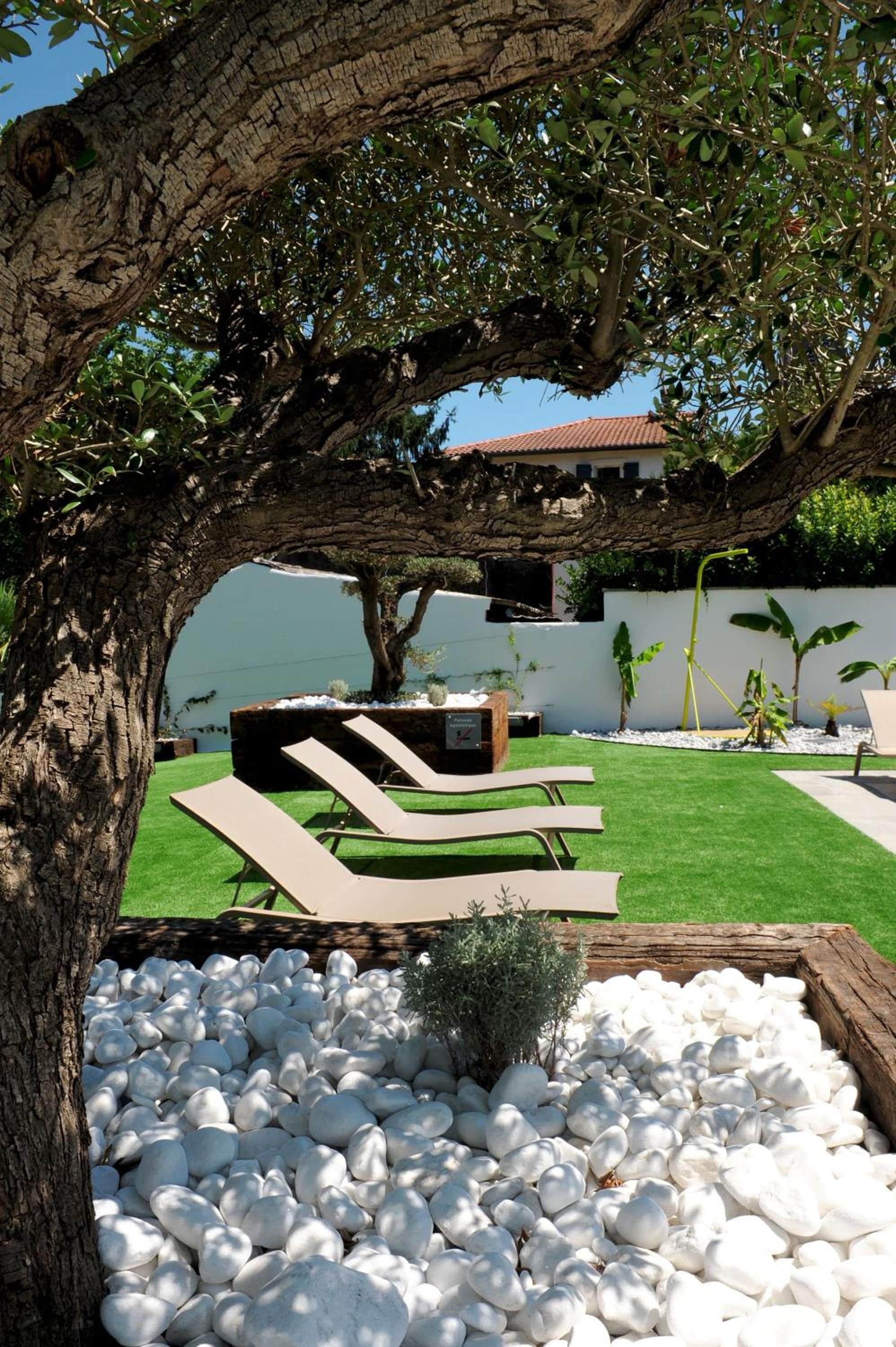 A tree-lined outdoor seating area with white pebbles and a small shrub.
