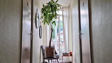 A hotel hallway with a carpeted floor, a potted plant, a chair, and a small table with items on it.