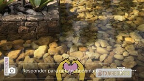 A tropical garden with a clear water feature, palm trees, and a stone pathway. - Txai Resort casa 10 (Itacaré)