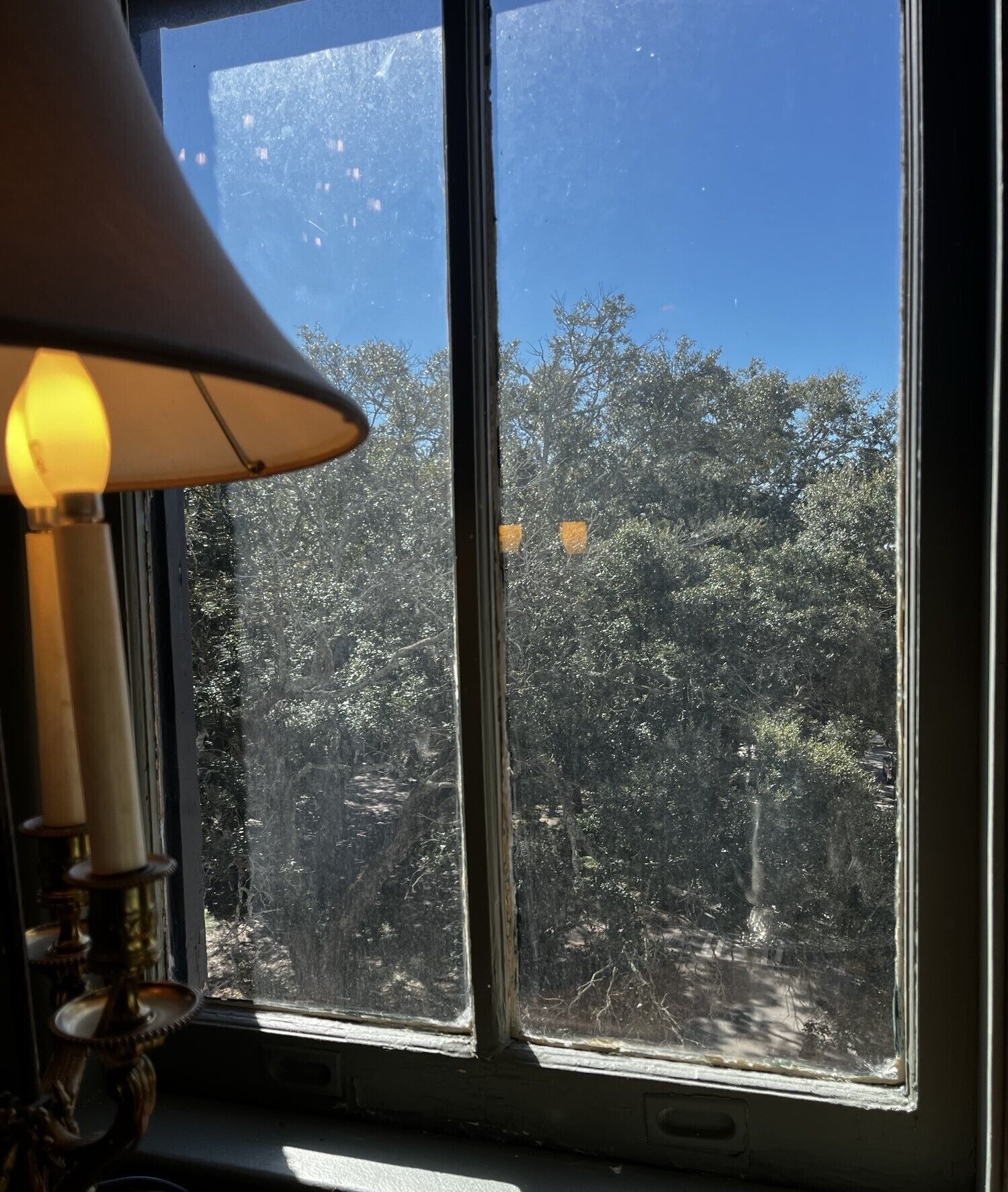 A window with a view of trees and a lamp on the left.
