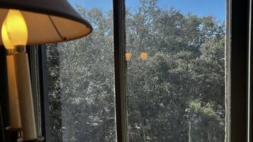 A window with a view of trees and a lamp on the left.