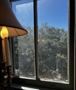 Premium-Zimmer, 1 King-Bett, Nichtraucher (401 Wrest) | Blick auf die Straße