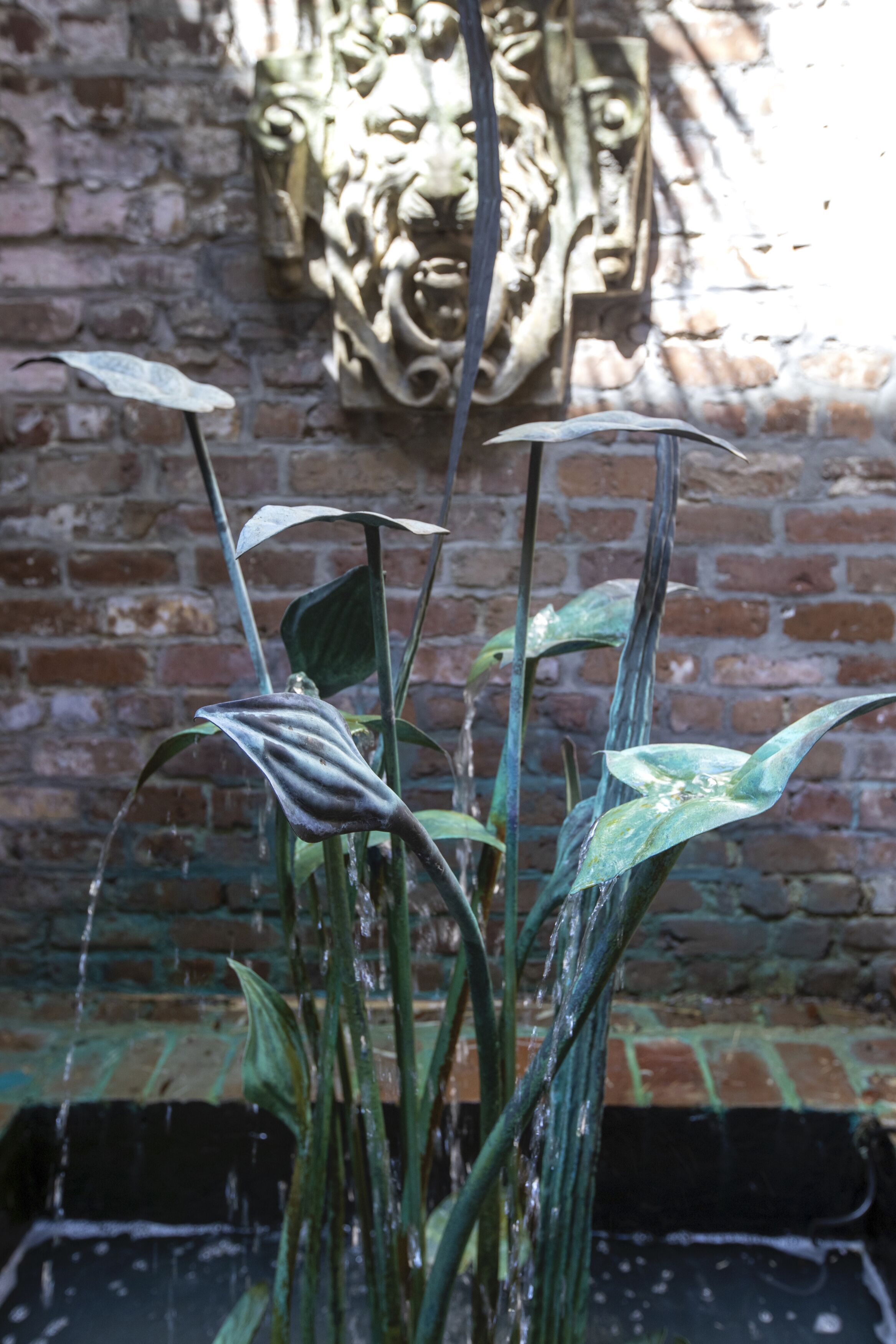 A plant with broad leaves in a water feature, set against a brick wall with a decorative stone carving.