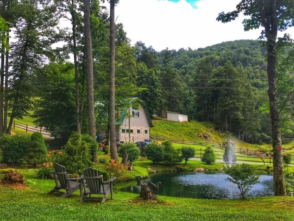 Property grounds - Starry Nights: Farm Stay, Zip Lines, Fishing & Petting Zoo? (Watauga County)