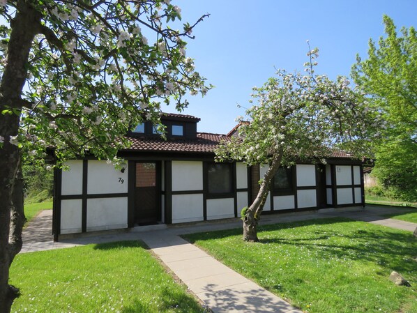 Unclassified image, 1 of 24, button