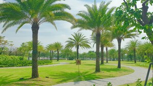Un sendero bordeado de palmeras y un cartel que indica una zona de parque.